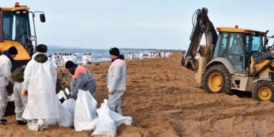 العثور على 30 حوتًا نافقًا في البحر الأسود بعد انسكاب نفطي - جورنالك السعودي