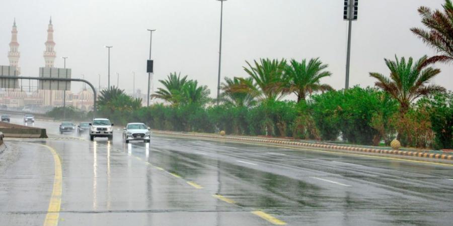 الأرصاد: سقوط أمطار رعدية متوسطة على مدينة عرعر - جورنالك السعودي