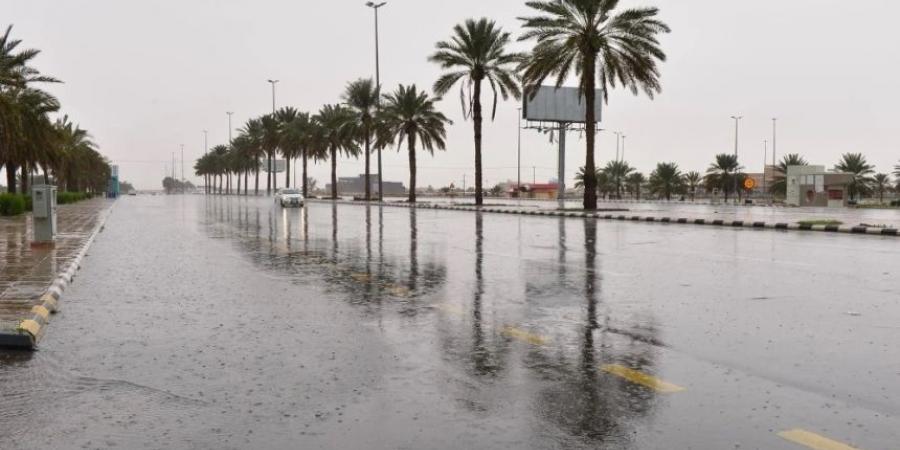 طقس الصباح الباكر.. أمطار متوسطة إلى غزيرة على أجزاء من الشرقية - جورنالك السعودي