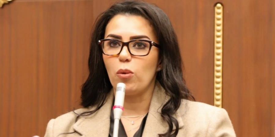 نائبة التنسيقية سها سعيد: لائحة قصور الثقافة في مصر بحاجة لإعادة النظر لتفعيل الدور الاقتصادى من أجل توفير موارد أكبر..صور - جورنالك