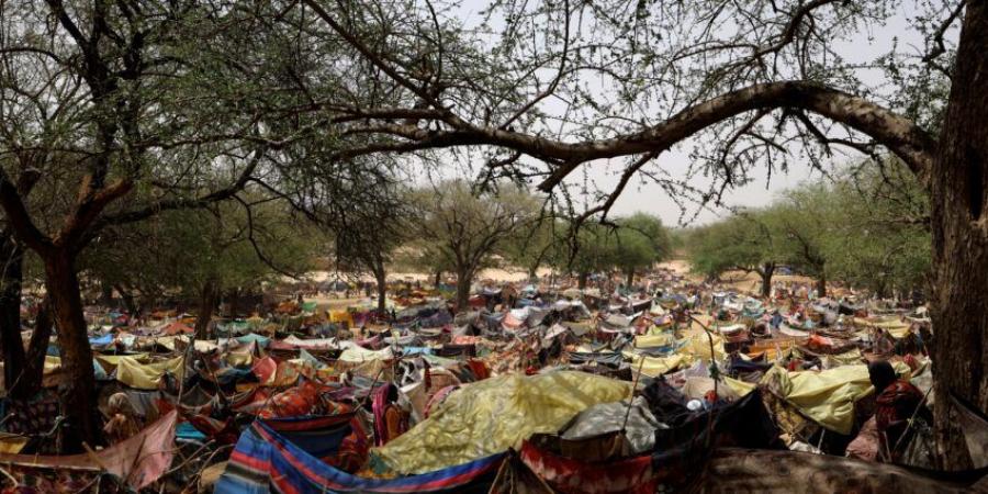 لاجئون سودانيون يدفعون 150 ألف دولار لـ مواطن تشادي.. ما القصة - جورنالك السوداني