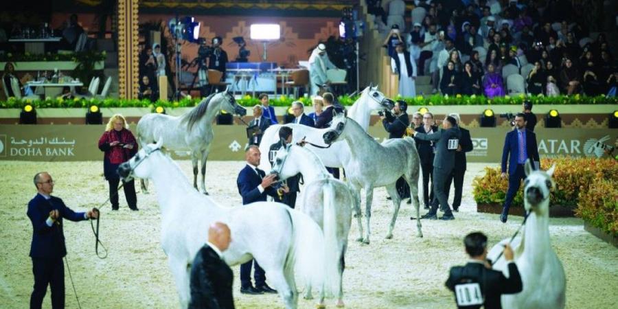 عمار النعيمي وجاسم بن حمد يشهدان اختتام مرحلة عجمان من «جولة الجياد العربية» - جورنالك في الثلاثاء 11:37 مساءً