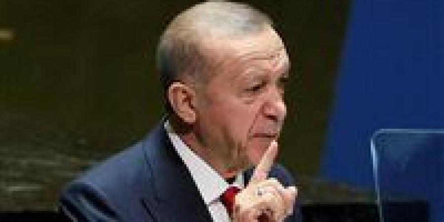 أردوغان يهدد بتحرك عسكري في سوريا: "لن نسمح بتقسيم البلاد" - جورنالك