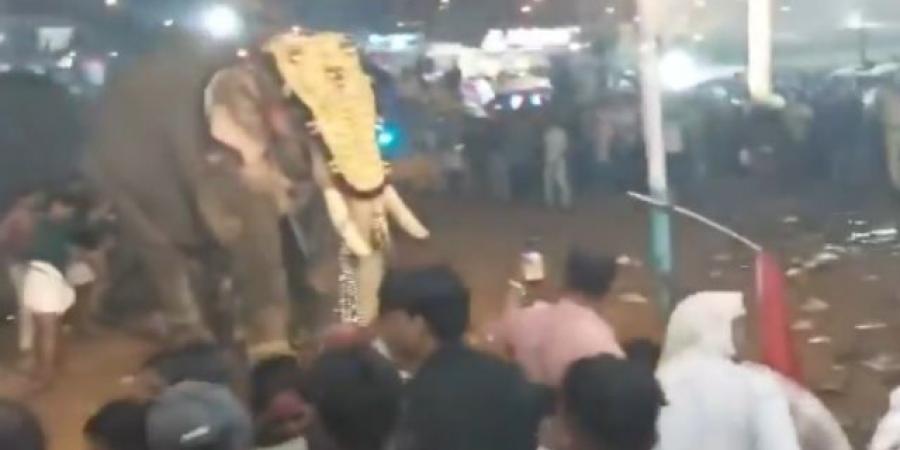 فيل يهاجم حشدا من الناس أثناء مهرجان في الهند.. بالفيديو - جورنالك