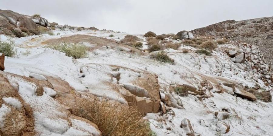 طقس الصباح الباكر.. ضباب خفيف على أجزاء من المنطقة الشرقية - جورنالك