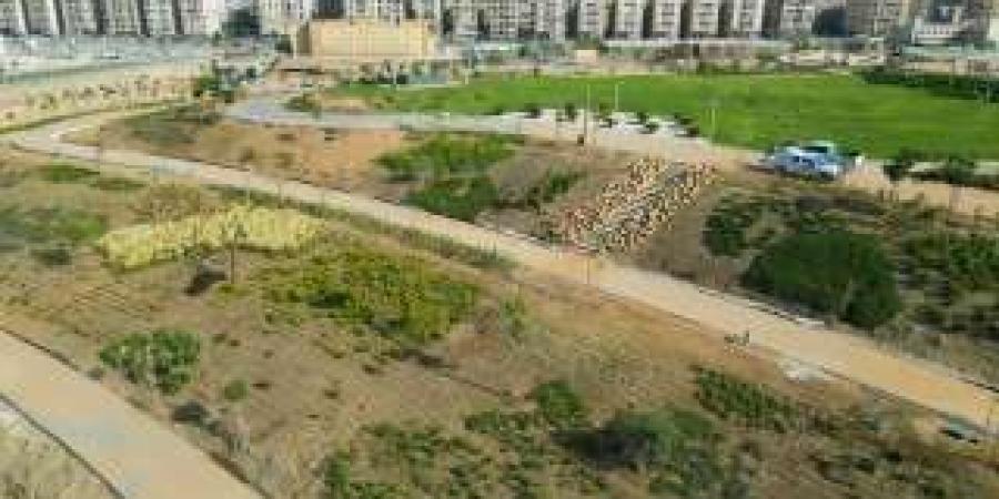 ( 02:36 ) تعرف على تفاصيل مشروع حدائق تلال الفسطاط الأكبر في منطقة الشرق الأوسط - جورنالك