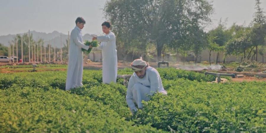 بلدية دبي تُطلق النسخة الثانية من مهرجان حتّا الزراعي - جورنالك في السبت 12:48 مساءً