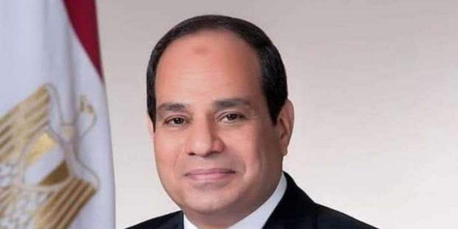 الرئيس السيسي يستعرض جهود مصر للتحول إلى مركز عالمي لإنتاج الهيدروجين الأخضر - جورنالك