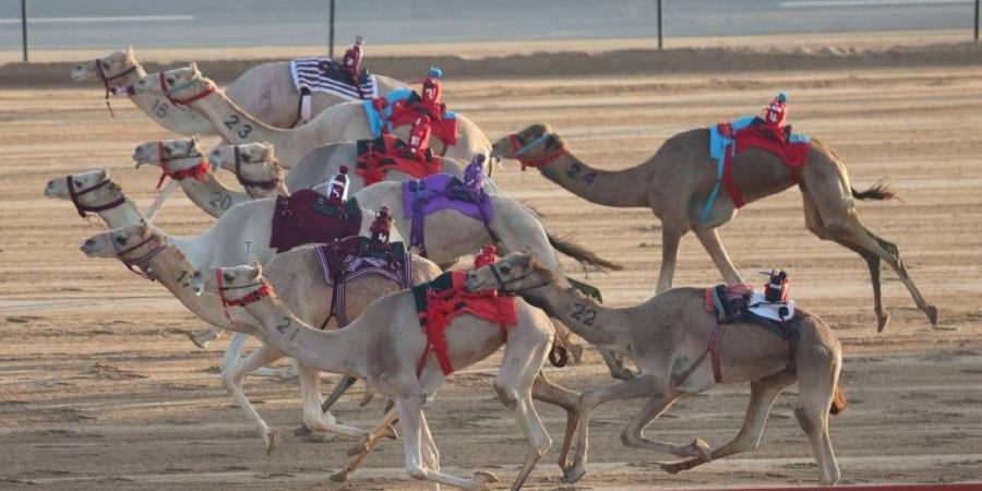 تألق هجن الرئاسة و«العاصفة» في مهرجان ولي عهد دبي للهجن - جورنالك في الأربعاء 08:58 صباحاً