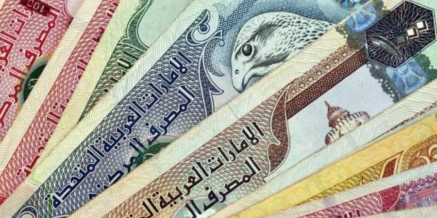 16.1 تريليون درهم تحويلات مالية منفذة بالقطاع المصرف الإماراتي خلال 10 أشهر - جورنالك