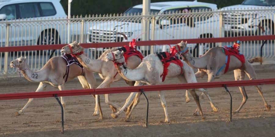 «الرئاسة» و«الشحانية» تخطفان الأضواء في مهرجان ولي عهد دبي - جورنالك في الخميس 12:08 مساءً