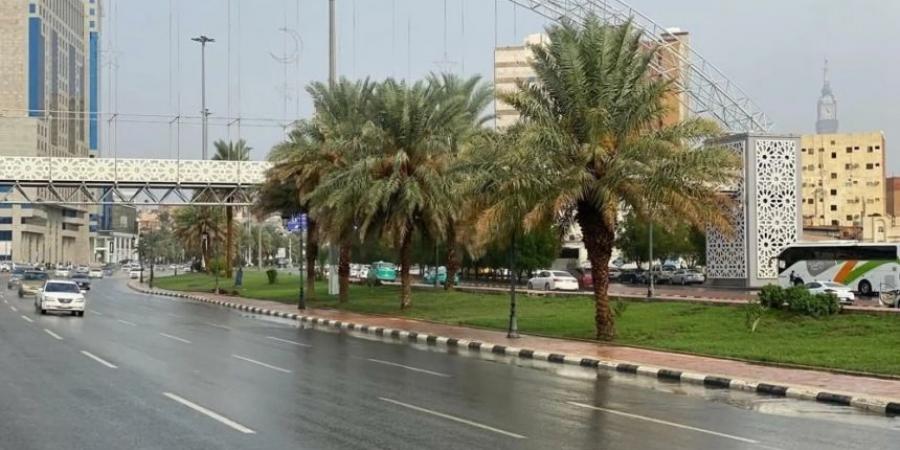 طقس الخميس.. أتربة مثارة على أجزاء من منطقة الرياض - جورنالك